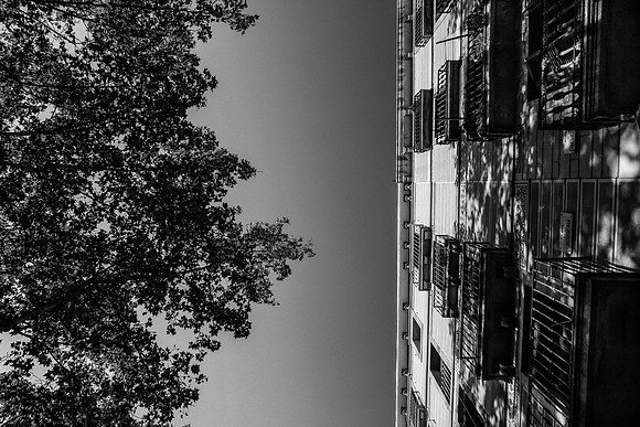 Looking Up in Barcelona