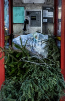 Near Barbican - Xmas tree in a phone box, early January